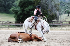 DTaC_2018-05-05_MD6415_exposure_resize